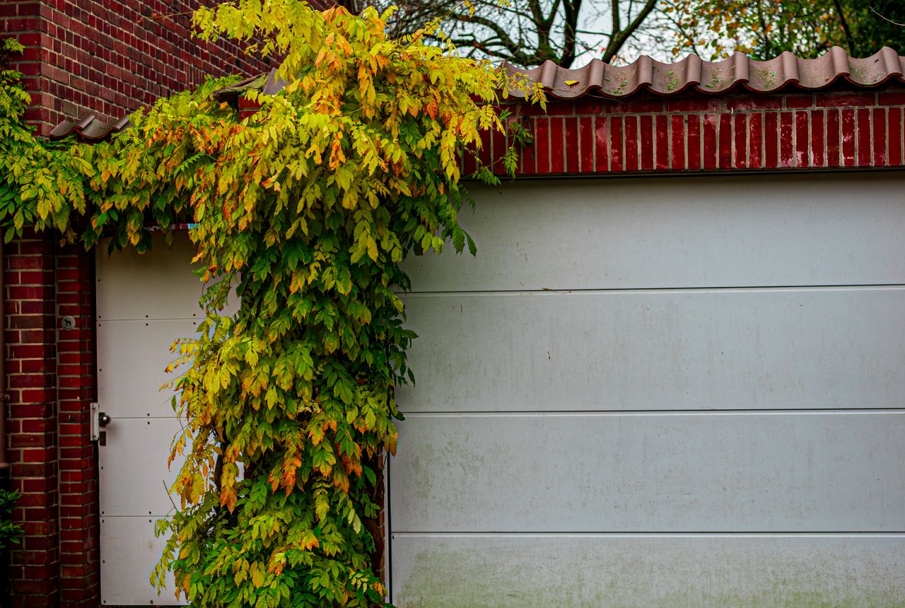 Garage door service in Broomfield, CO